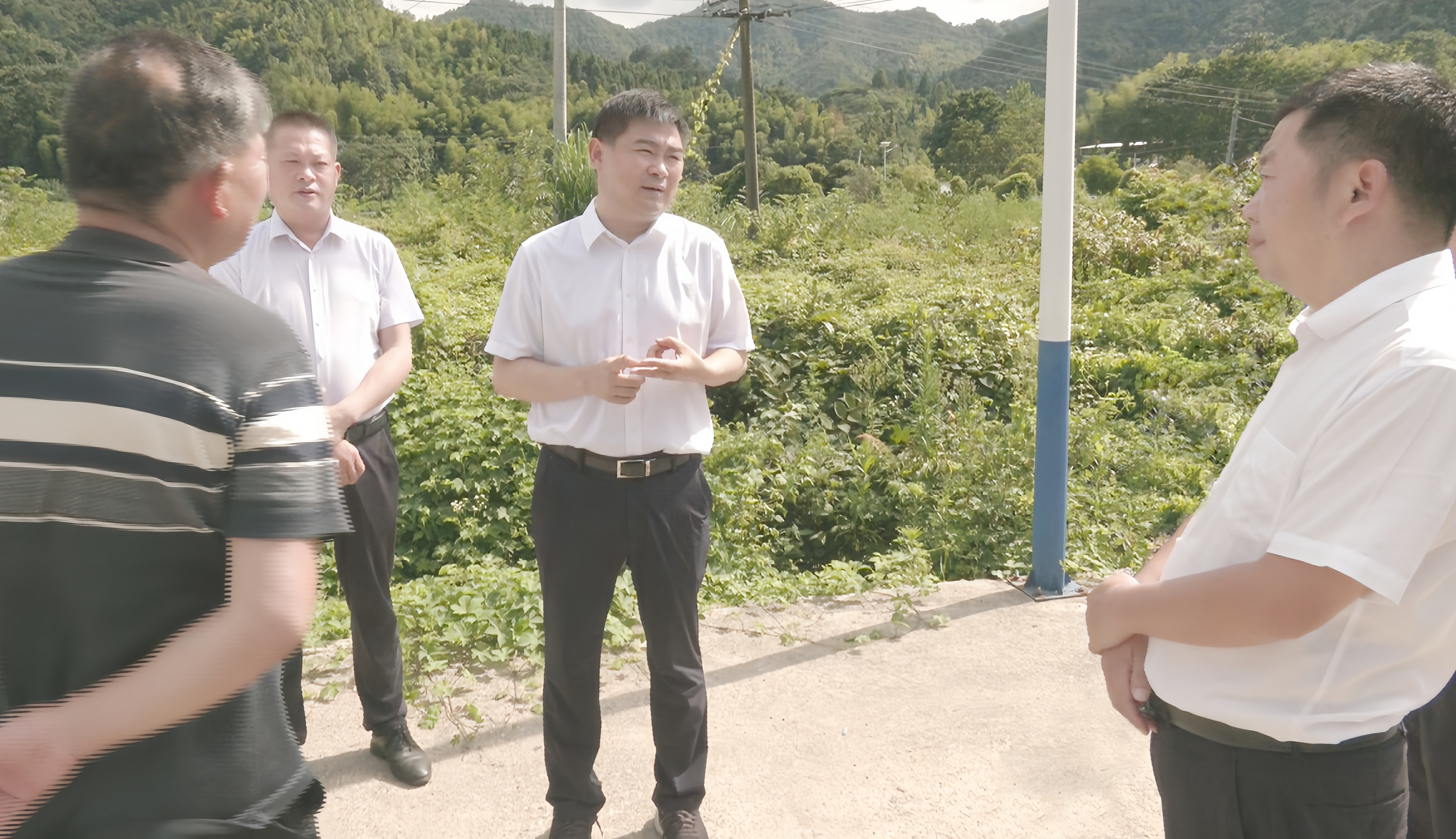 徐望赴沙坪镇调研农村集体经济增收和移风易俗工作